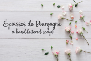 Reviewing PN Époisses De Bourgogne Typeface